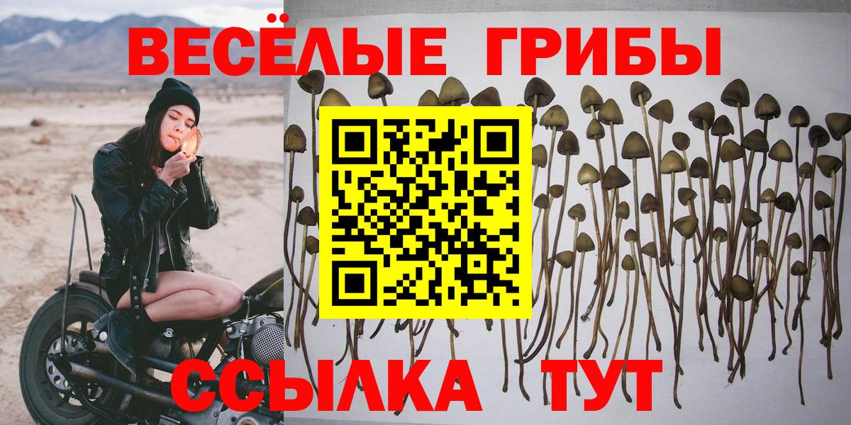 Псилоцибиновые грибы Magic Shrooms  Вход с VPN  Дербент  Галлюциногенные грибы GOLDEN TEACHER 