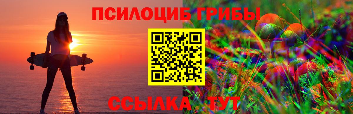 Галлюциногенные грибы ЛСД Дербент